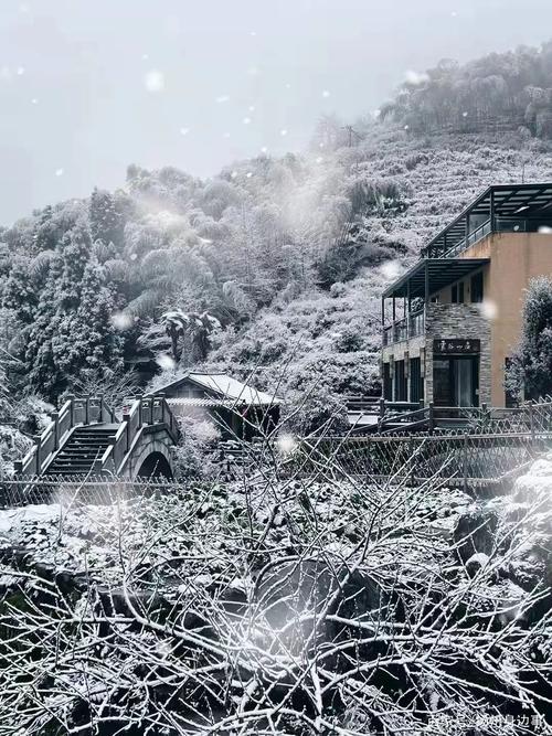 浙江白云山下雪了丽水多地传来雪景太美了
