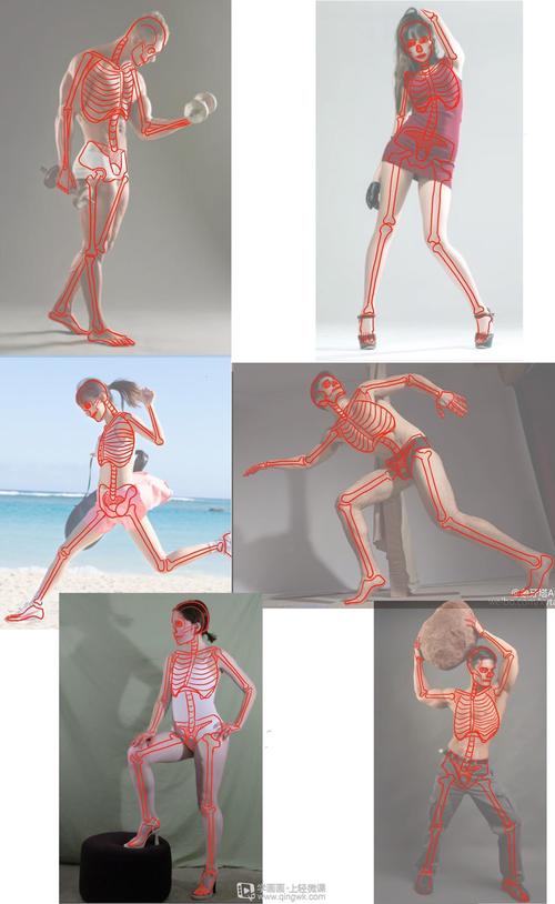 作业:如何学画手绘动漫人物之人体骨骼画法与训练技巧