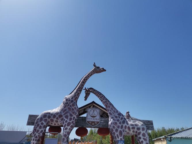 曲阜新鹿动物园