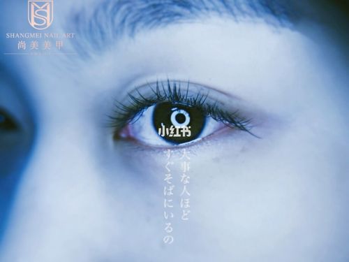 你看到了吗, 这双眼睛 什么时候开始 对你充满了失望.