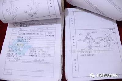 养生保健        随着时代的发展,电子病历逐渐登上历史舞台,它便捷