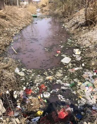 邢台威县老"护城河"堕落成臭水沟