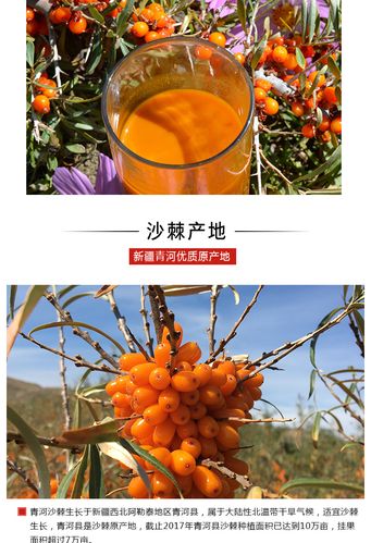 厂名:新疆慧华沙棘生物科技有限公司 厂址:新疆阿勒泰地区青河县青河
