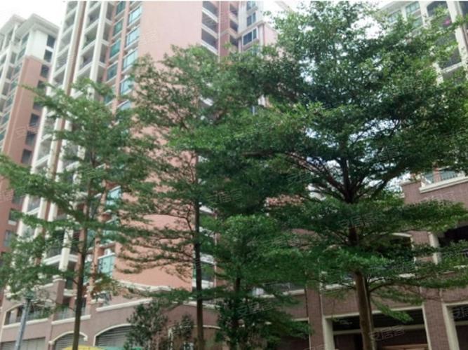 雅德花园,兴圃大道中157号-中山雅德花园二手房,租房,房价-中山安居客