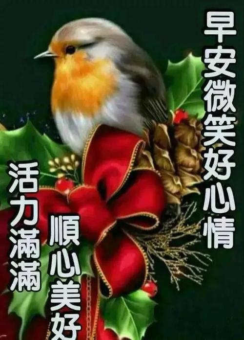 夏季暖心阳光版早上好鲜花图片大全 微信特漂亮早上好问候表情图片