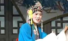 庐剧《休丁香后传》1 魏小波 王小兰 汪莉