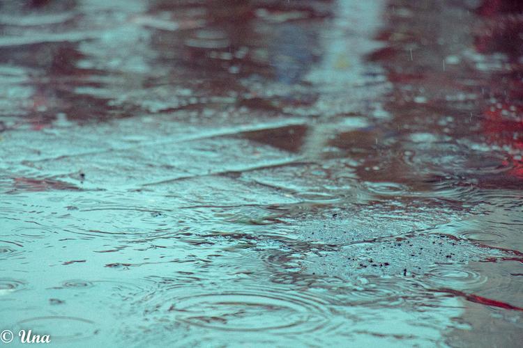 梅雨时节雨纷纷
