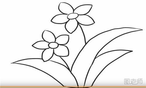 漂亮小花简笔画在画出来的小草上