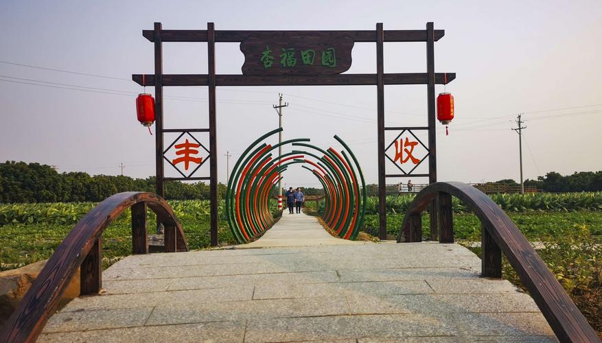 走进美丽乡村 ——高州杏花村