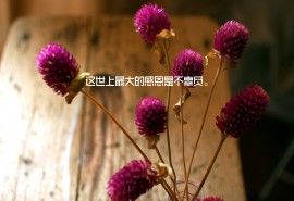 小清新感恩节文字高清电脑桌面主题壁纸图片下载(二)