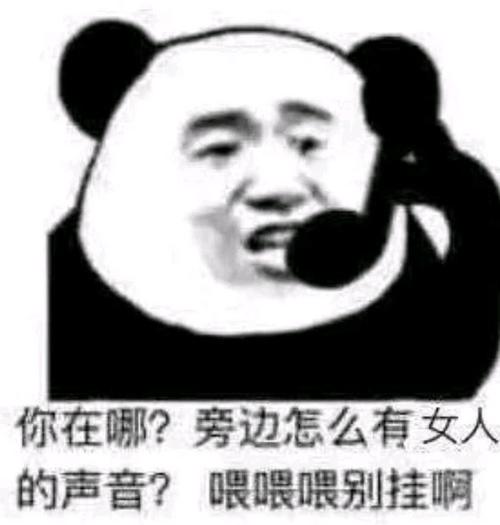 搞笑的表情包:我怎么听到你那边有女人的声音