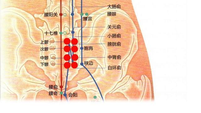 将一手握成空拳,然后用拳背的位置来叩击敲打腰骶部位,也可以用双手
