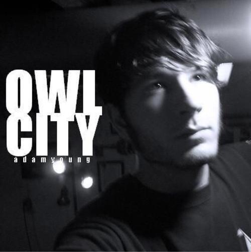owl city