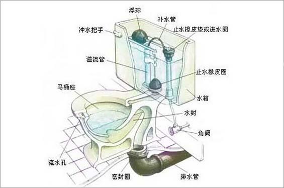 直冲马桶安装 直冲式马桶工作原理