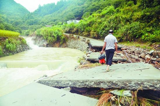 暴雨引发山洪青田县舒桥乡多个村庄受灾