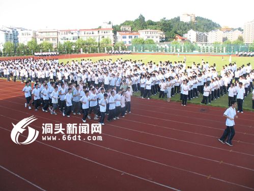 洞一中举行2010学年新生军训活动 - 洞头新闻网