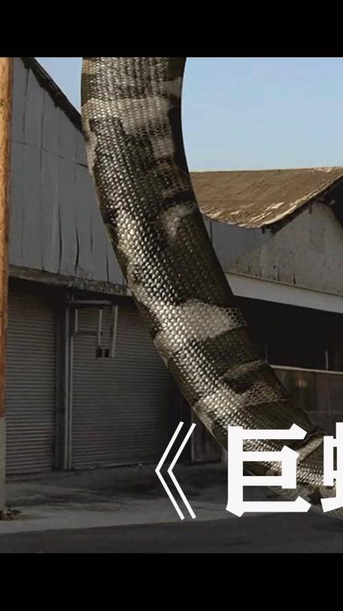 说电影《巨蟒大战恐鳄》