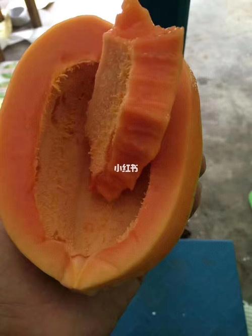 云南元江无籽红妃木瓜_木瓜_口感_美食_美食测评