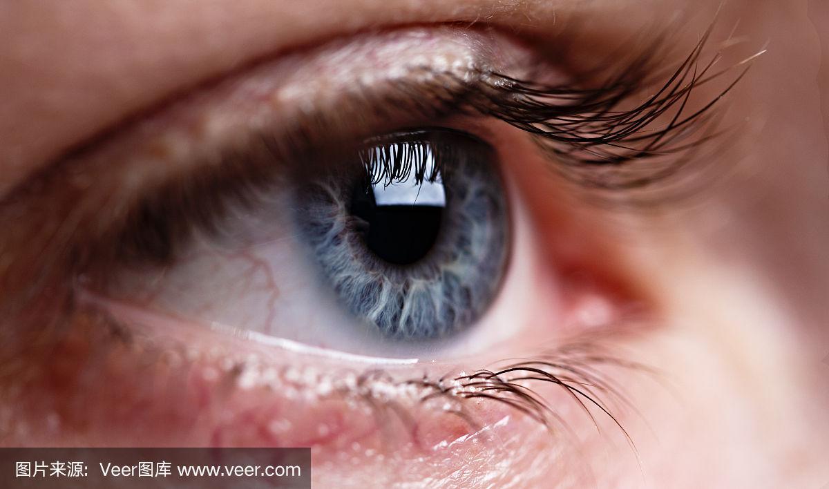 大特写,灰色眼睛,推铅球,美,眼睑