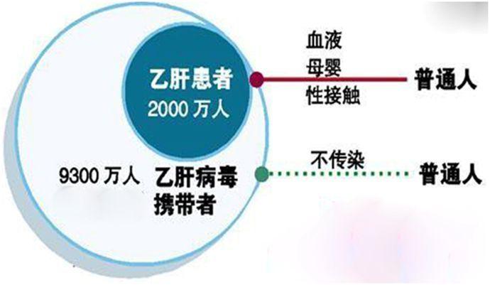 特点: 肝功能状况正常. 身体机能一切正常,不会出现乙肝疾病的症状.