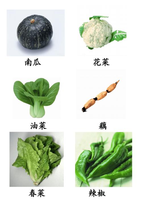 各种常见蔬菜图.pdf