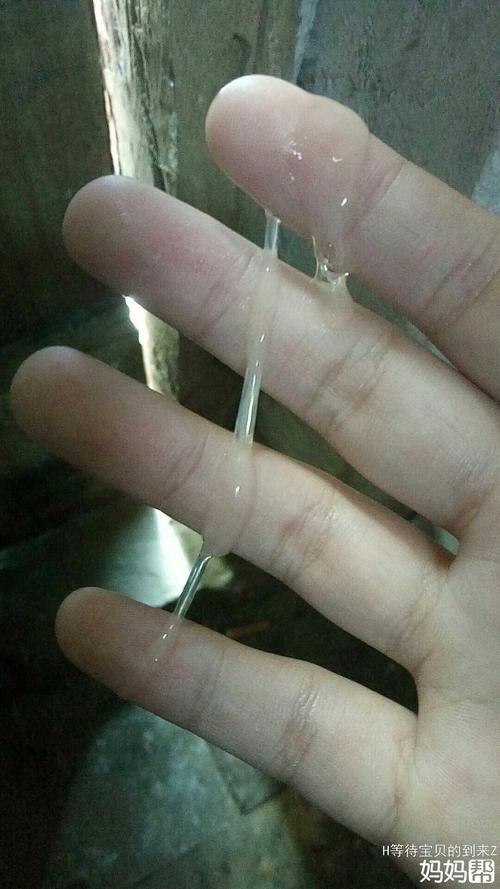 像问一下姐妹们出现这种情况是不是说明排卵了