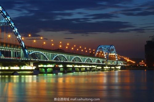 复兴大桥夜景