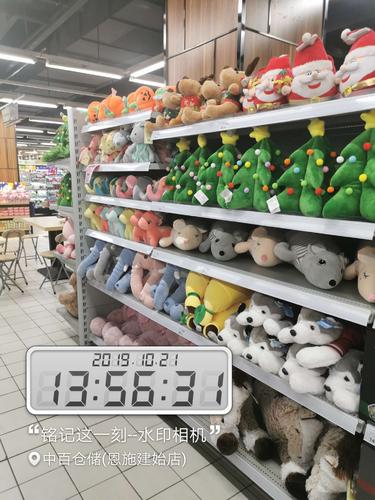 建始店大内衣 毛绒玩具 万圣节陈列