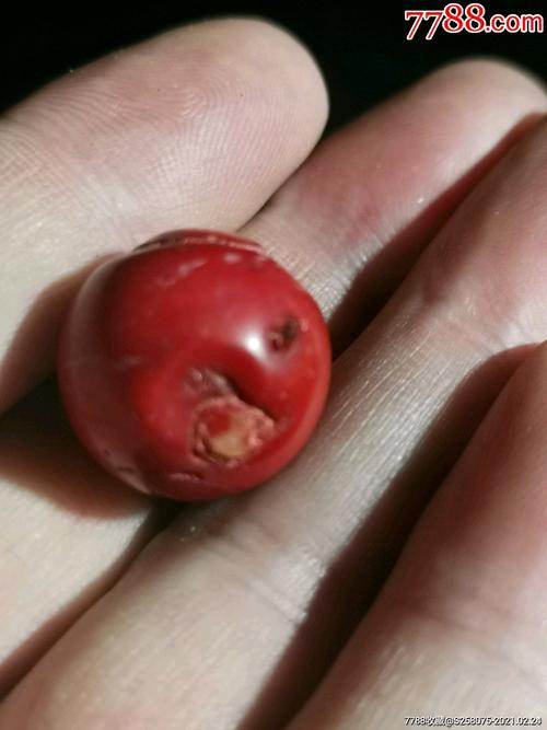 清代西藏地区老红**珠子_珊瑚_第5张_7788书籍