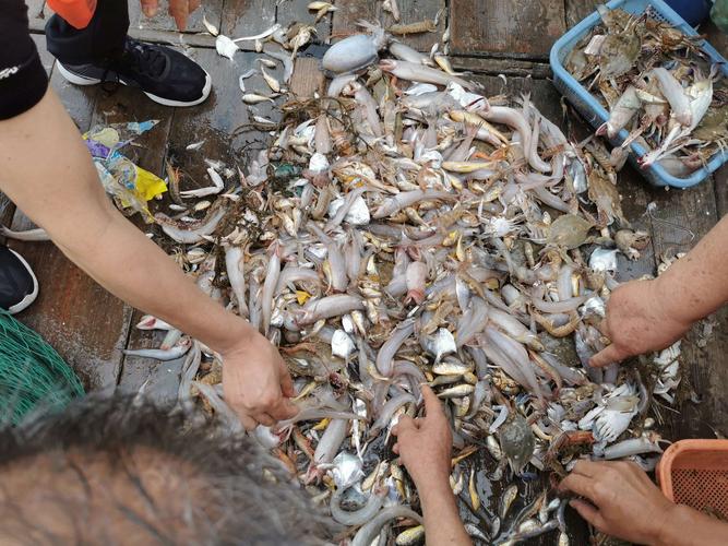 象山石浦之行--出海捕鱼