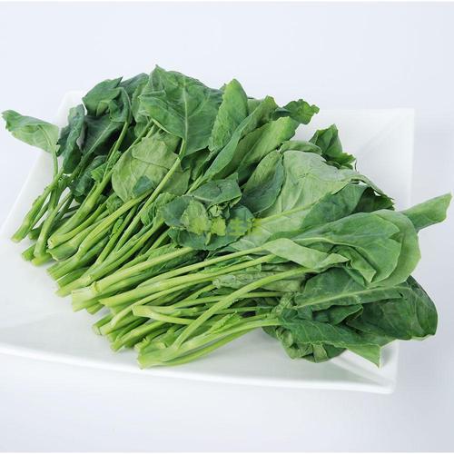 新鲜芥兰苗芥蓝苗小芥蓝芥兰京津冀任意6件包邮