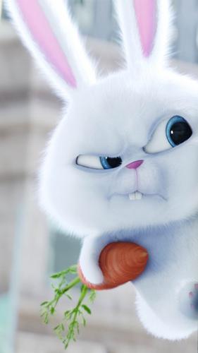 它有一对长长的大耳朵,像芭蕉扇的大叶子,脸上有一双圆溜溜的大眼睛