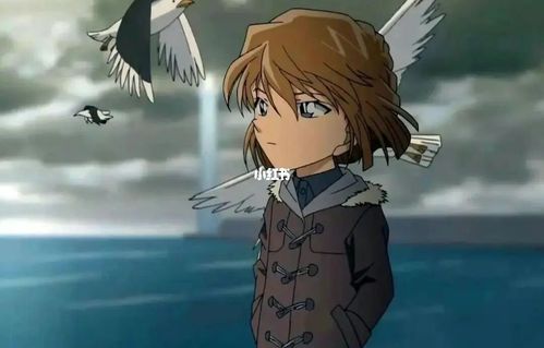 灰原哀_名柯_影视_动漫_动漫推荐