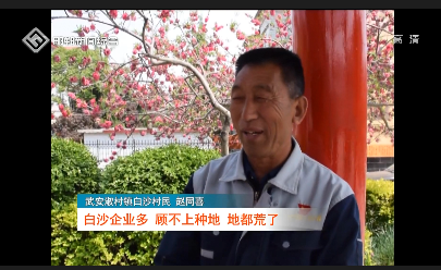 武安:白沙村土地流转:转"活"农业 转富农民