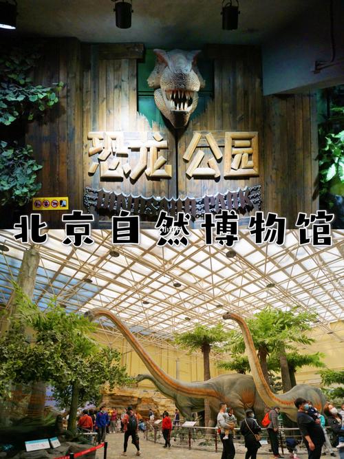 北京自然博物馆|节假日免费预约游览全攻略