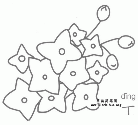 紫丁香简笔画图片,教程