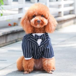 猫咪衣服小西装结婚