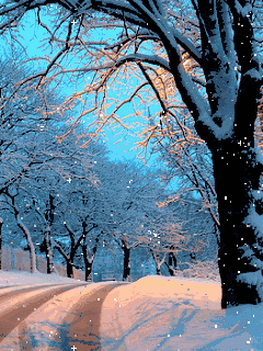 雪gif下雪gif冬天gif冷gif