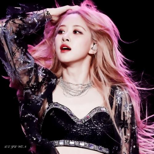 "科切拉" firstlove_rose