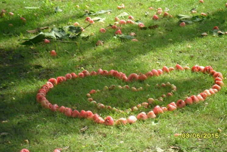 我们心存感恩懂得珍惜 相互鼓励对未来充满希望 因为爱情 我们的生活