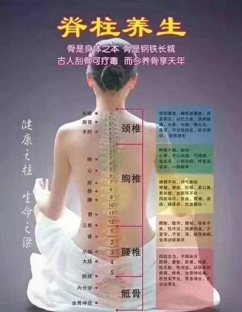 写美篇 后背为五脏六腑的反射区,从颈下二寸开始,以手掌大小为一个