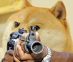 表情包 | 神烦柴犬拿枪表情包