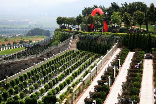 园区景观图-昆明祥和陵园有限公司