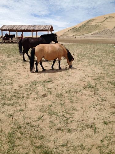 西安青海甘肃---大三西北写生之旅