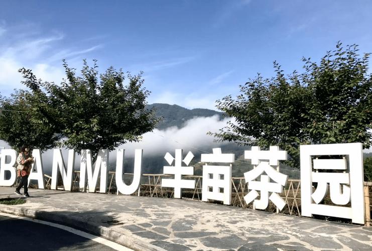 半亩茶园半山半亩半分田2016 年下半年,在农业互联网领域探索多年的