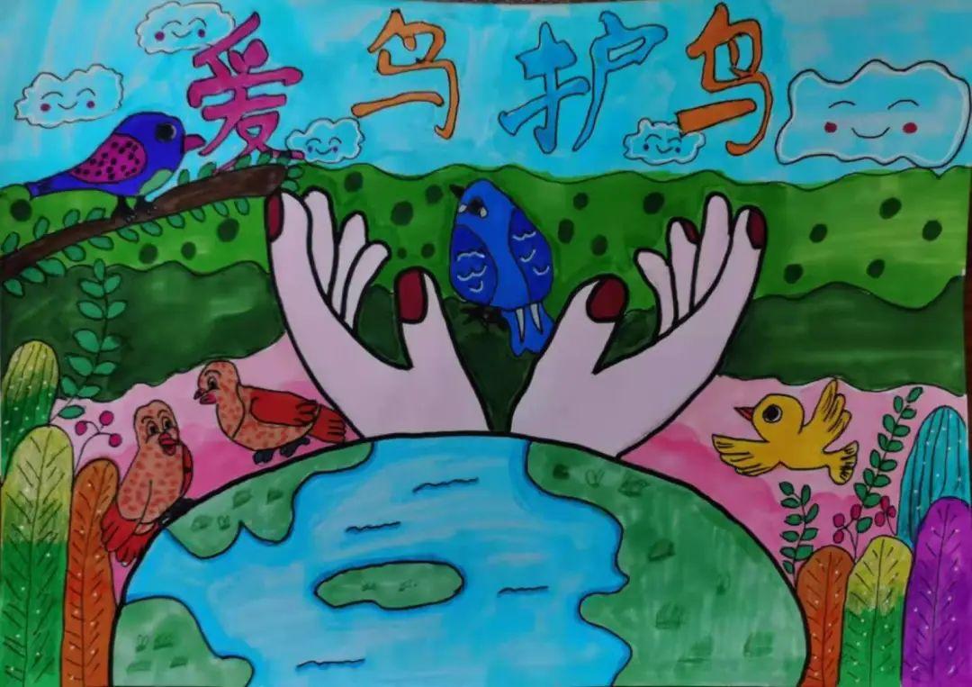 "爱鸟护鸟 万物和谐"舟山市儿童主题画创作大赛,获奖名单出炉啦!