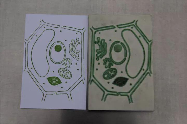 近期,由高一生物组举办的真核细胞三维结构模型构建及展评活动,细胞