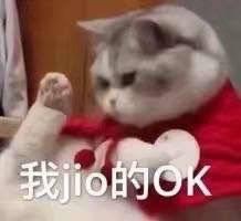 热门猫咪表情包