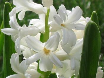 李乾坤的个人展示页