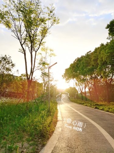全网最美的晨练风景_风景_早安晨之美_出行_出行其他